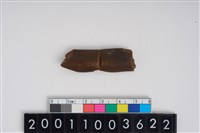 藏品(加工骨器)的圖片