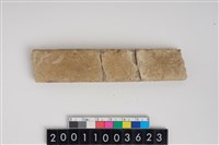 藏品(加工骨器)的圖片