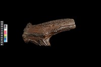 藏品(骨鑿器)的圖片