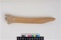 藏品(骨鑿器)的圖片