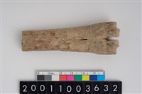 藏品(骨鑿器)的圖片