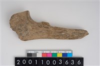 藏品(骨鑿器)的圖片