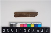 藏品(骨鑿器)的圖片