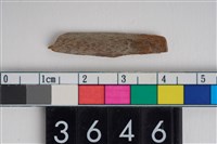 藏品(骨鑿器)的圖片