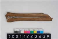 藏品(骨器)的圖片