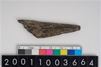 藏品(不明骨器)的圖片