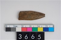 藏品(骨鏃)的圖片