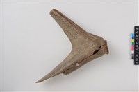 藏品(角鏟)的圖片