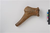 藏品(角槌器)的圖片