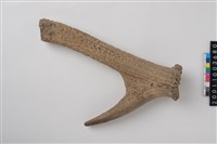 藏品(角尖器)的圖片