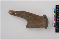 藏品(角尖器)的圖片