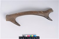 藏品(角尖器)的圖片