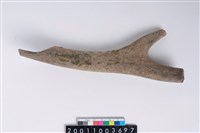 藏品(角尖器)的圖片