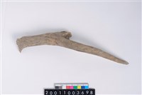 藏品(角尖器)的圖片