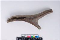 藏品(角尖器)的圖片