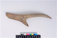 藏品(角尖器)的圖片