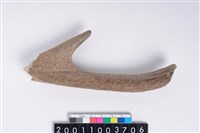 藏品(角尖器)的圖片