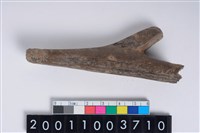 藏品(角尖器)的圖片