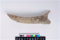 藏品(角尖器)的圖片