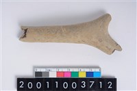 藏品(角尖器)的圖片