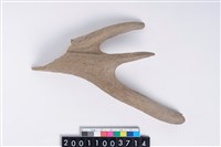 藏品(角尖器)的圖片