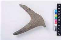 藏品(角尖器)的圖片