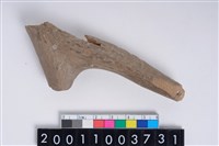 藏品(角尖器)的圖片