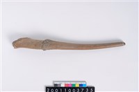 藏品(角尖器)的圖片