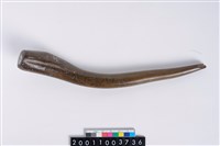 藏品(角尖器)的圖片