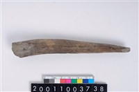 藏品(角尖器)的圖片