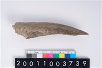 藏品(角尖器)的圖片