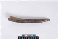 藏品(角尖器)的圖片