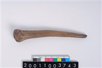 藏品(角尖器)的圖片