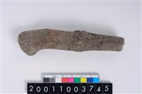 藏品(角尖器)的圖片