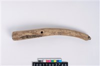 藏品(角尖器)的圖片