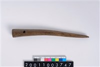 藏品(角尖器)的圖片