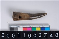 藏品(角尖器)的圖片