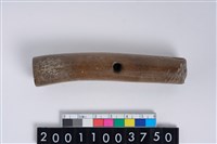 藏品(角尖器)的圖片