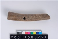 藏品(角尖器)的圖片