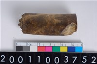 藏品(角尖器)的圖片