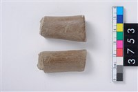 藏品(角尖器)的圖片