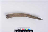 藏品(角尖器)的圖片