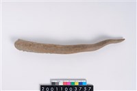 藏品(角尖器)的圖片