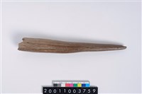 藏品(角尖器)的圖片