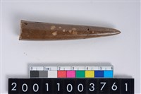 藏品(角尖器)的圖片