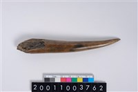 藏品(角尖器)的圖片