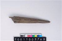 藏品(角尖器)的圖片