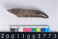 藏品(角尖器)的圖片