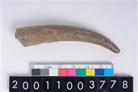 藏品(角尖器)的圖片