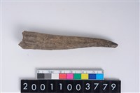 藏品(角尖器)的圖片